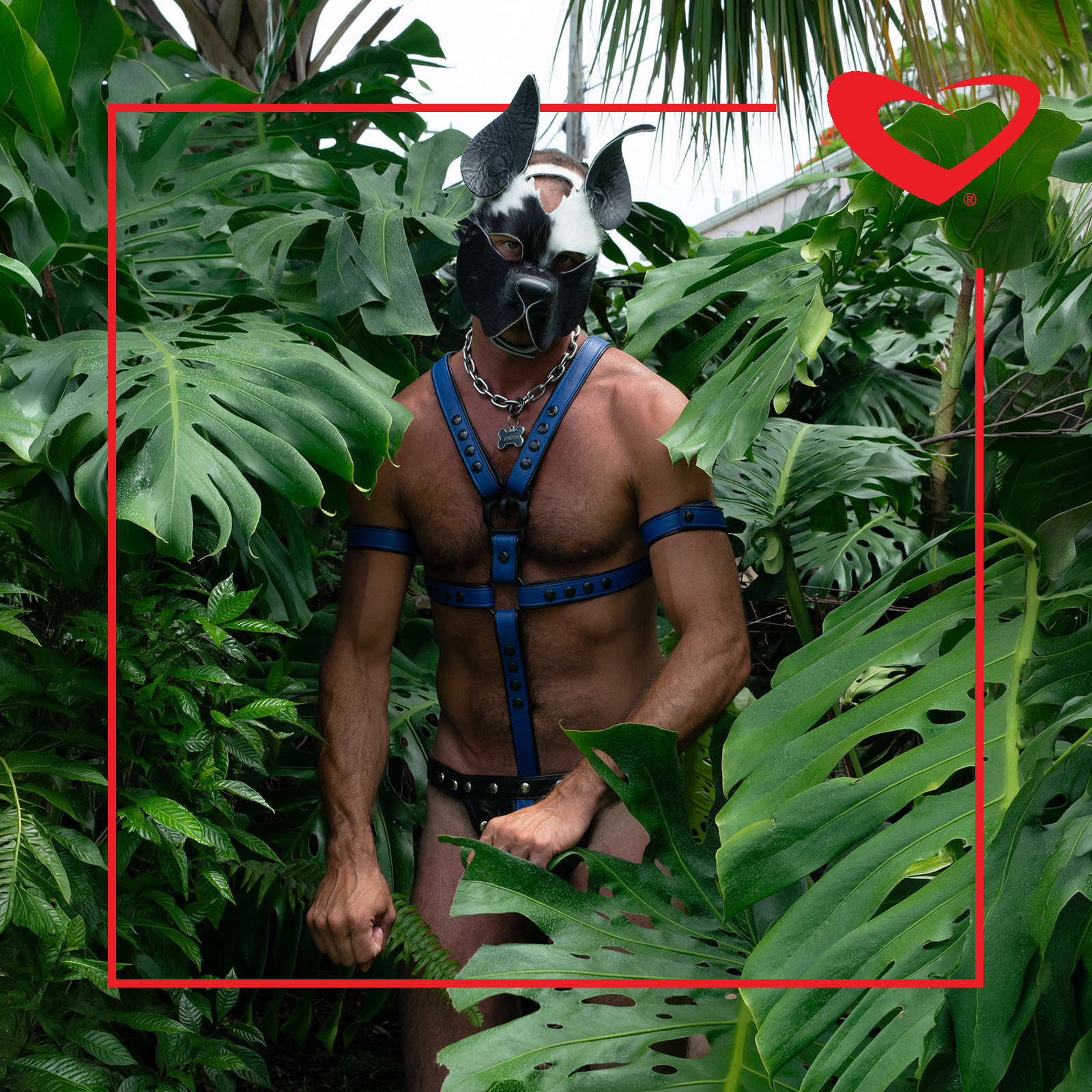 2026.03.07 Features Hairy Puppy Mask