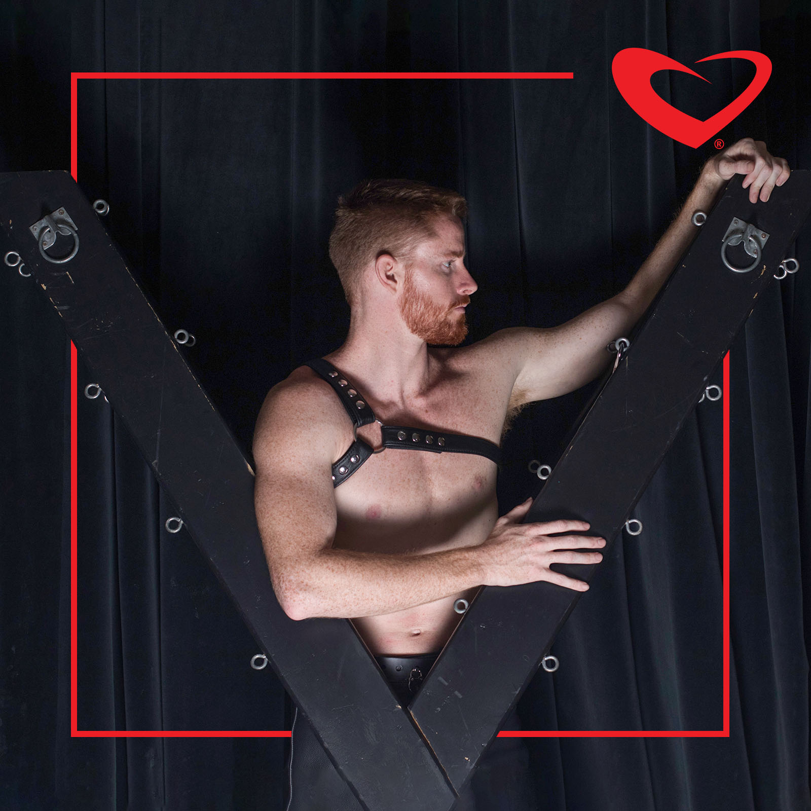 2026.10.24 Sat Product Features LeatherWerks Gladiator Harness
