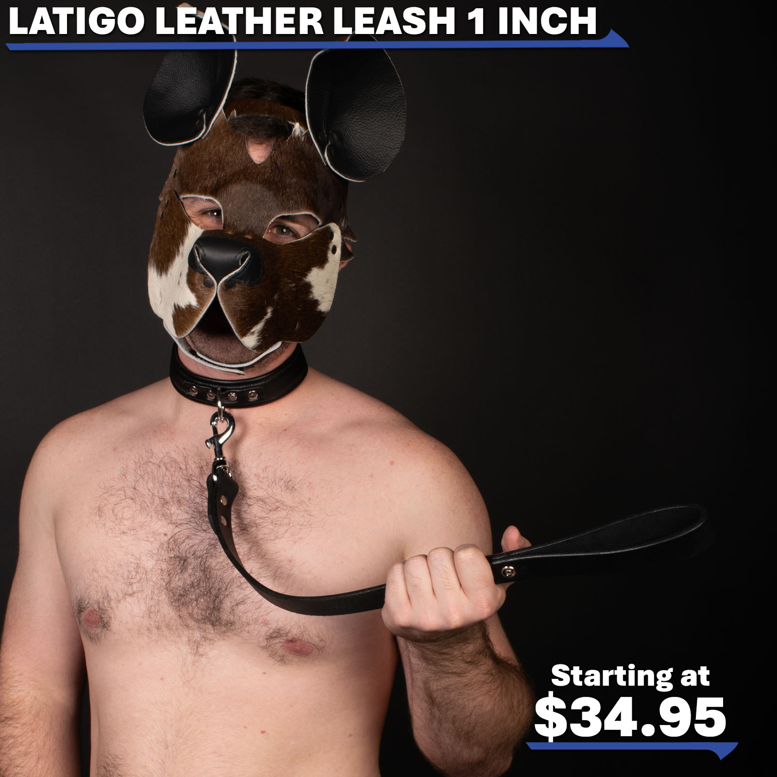 2026.11.06 Sat Product Features Latigo Leather Leash 1 Inch