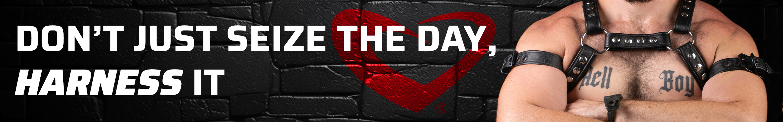 2026.03.16 Harness Category Feature Harness