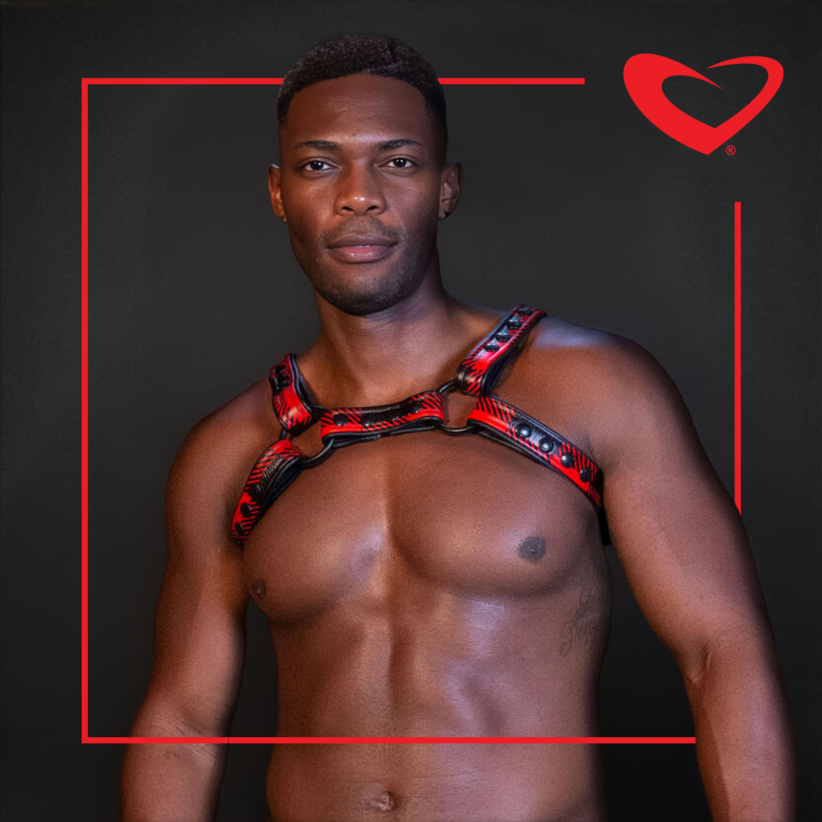 PF Last Call Harness