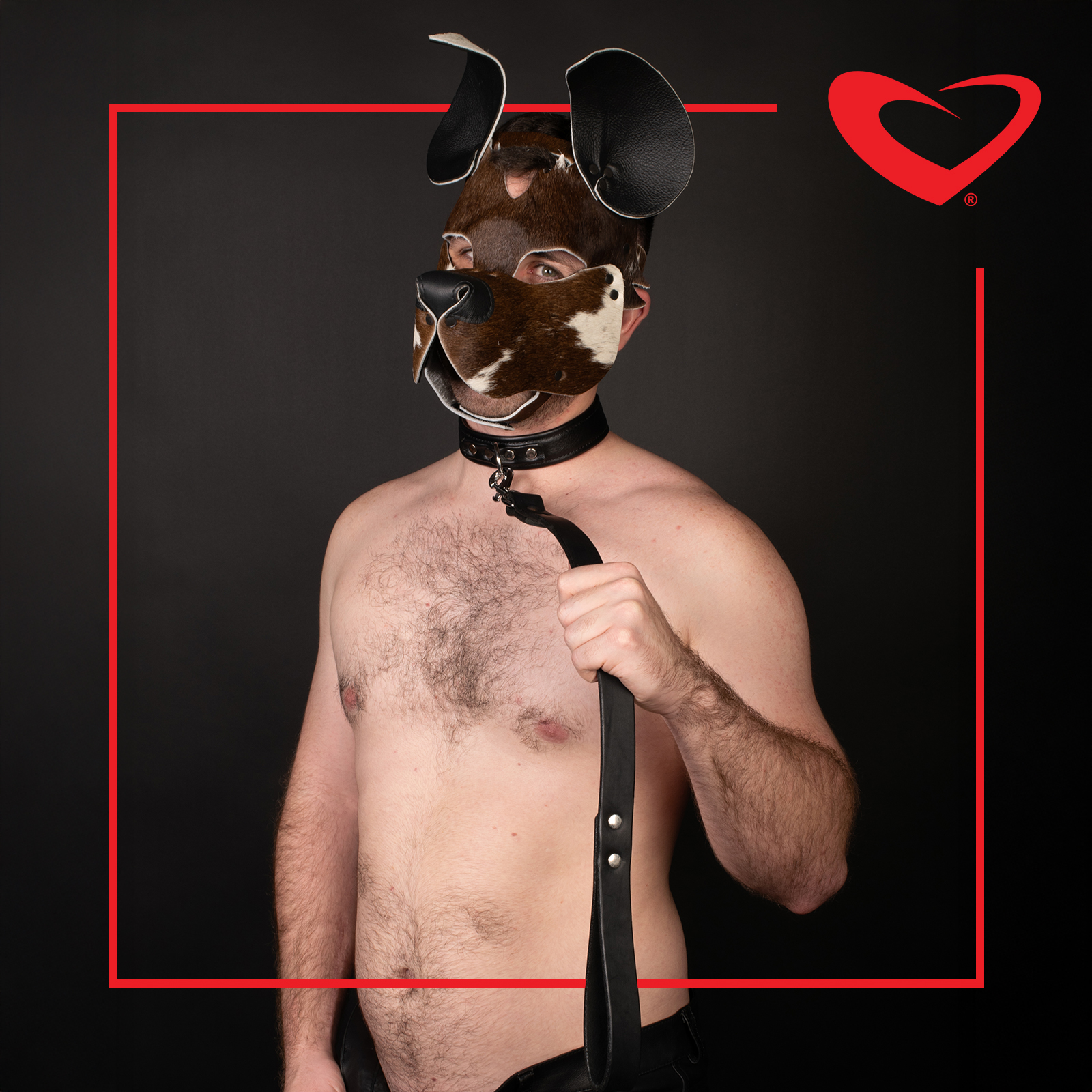 collars lock and leashes PF