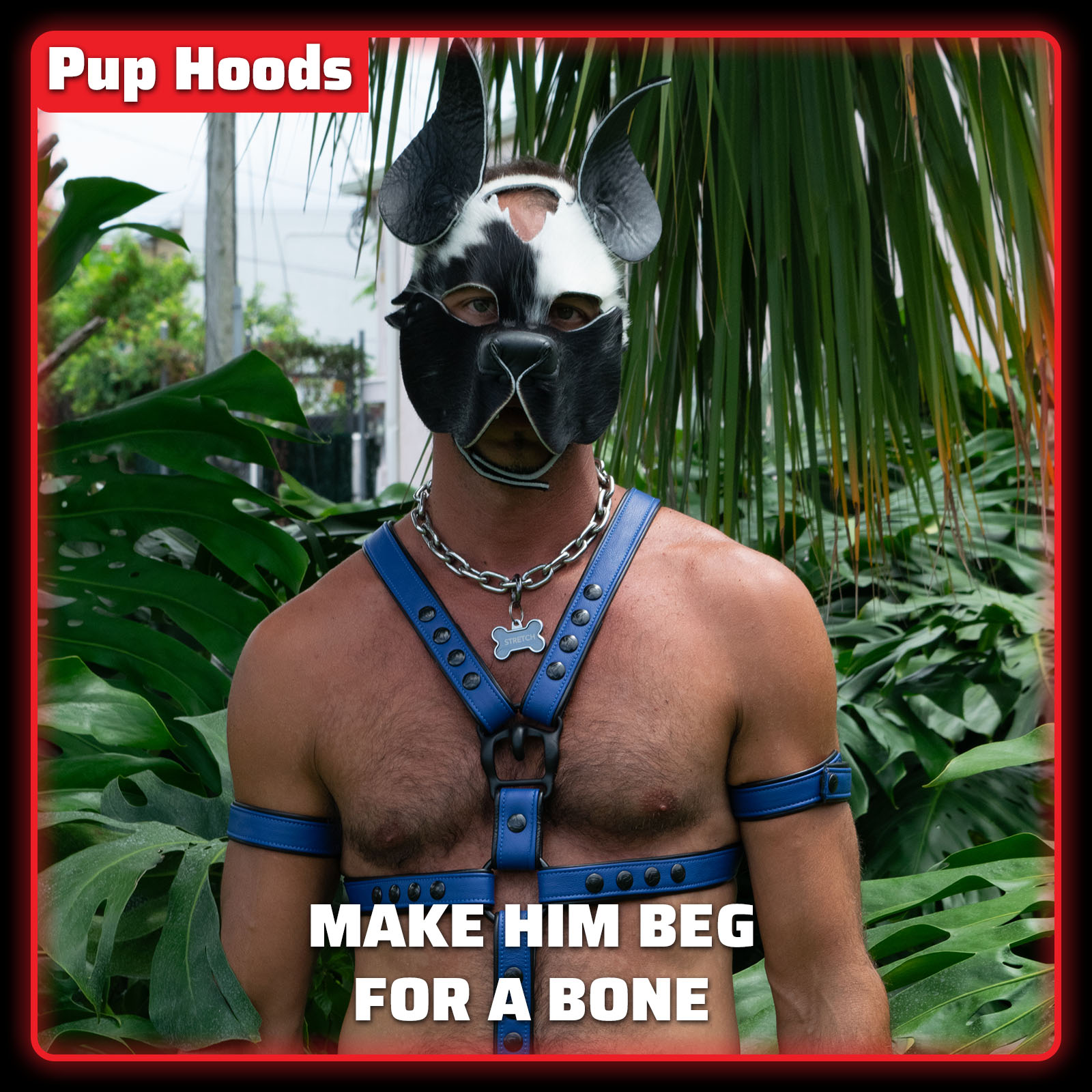 HF Pup Hoods 1