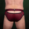 Breedwell Mister Luxe Brief Oxblood Rear