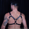 Allen Harness Back Allen Harness Back