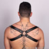 Backpack Harness Rear Backpack Harness Rear