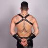 Black Backpack Harness Rear Black Backpack Harness Rear