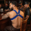 Breedwell Cumdump Harness Blue LS Rear