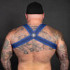 Breedwell Cumdump Harness Blue Rear