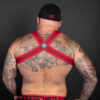 Breedwell Cumdump Harness Red Rear