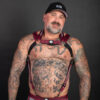 Breedwell Mister Luxe Body Harness Oxblood Front Breedwell Mister Luxe Body Harness Oxblood Front