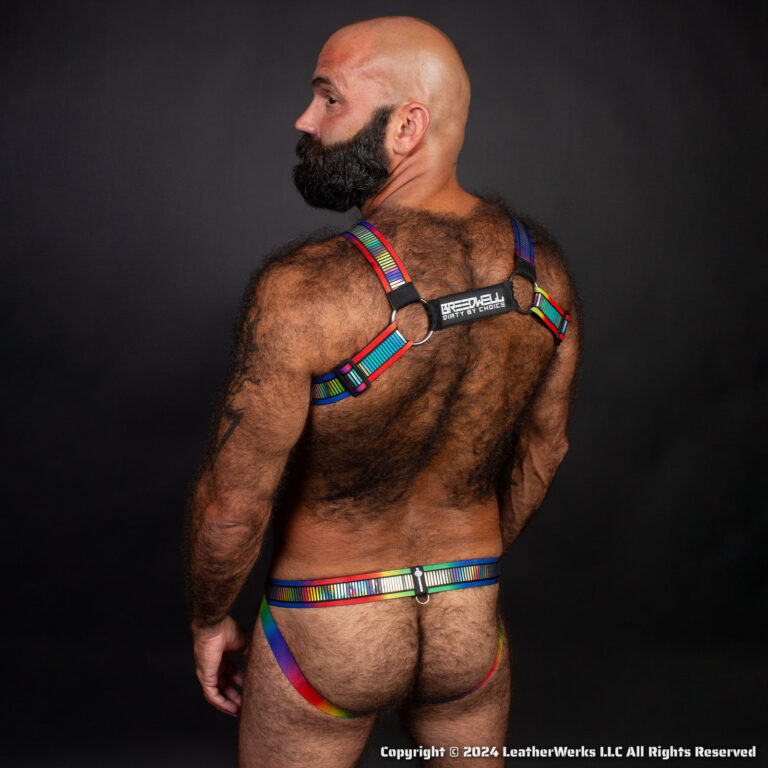 Breedwell Pride Reflect Harness Lifestyle