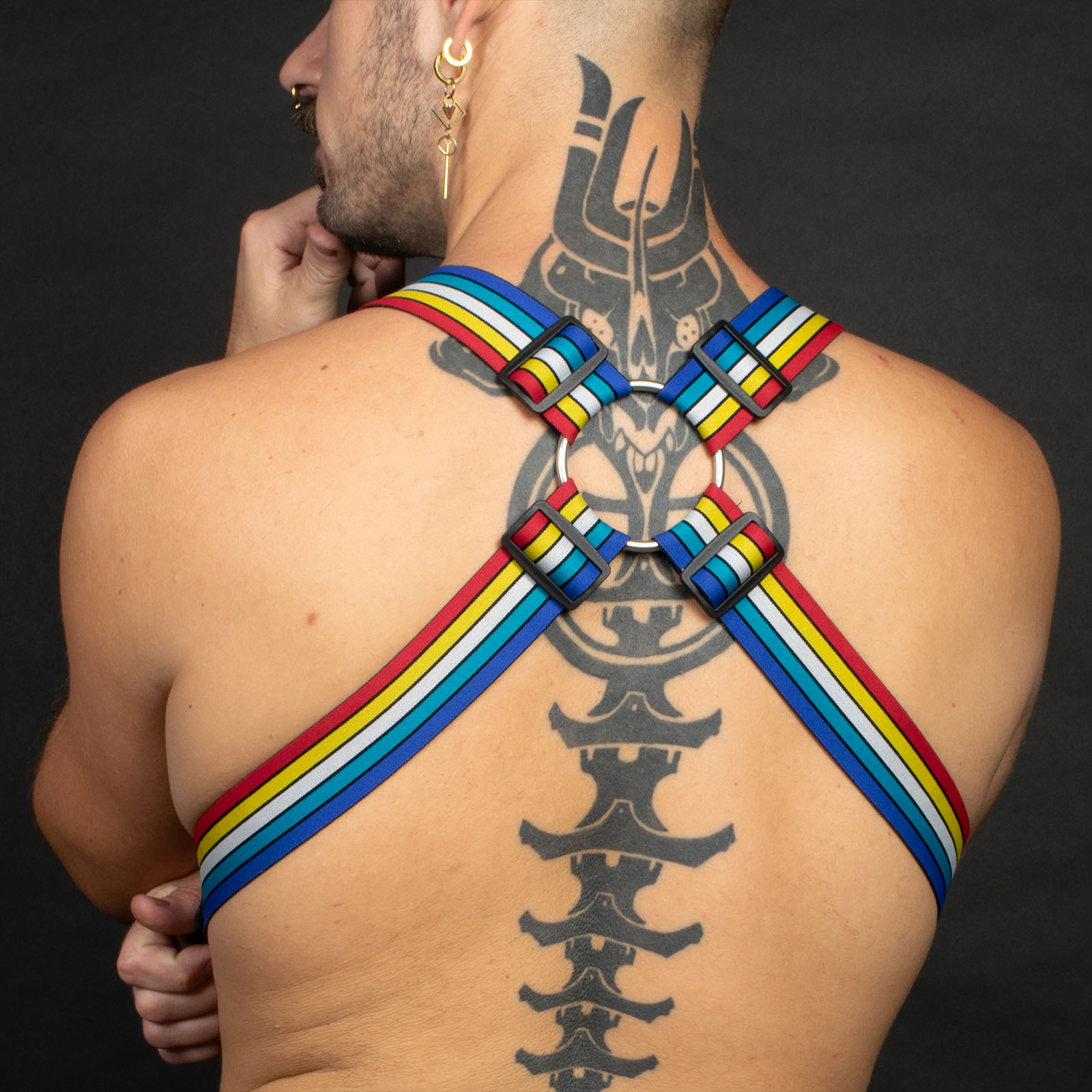 Breedwell Retro Remix Harness Rear Detail