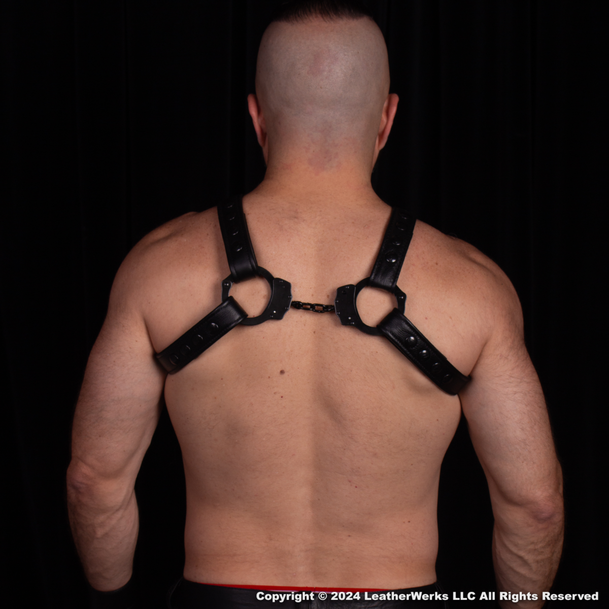 Bulldog Handcuff Harness black back