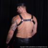 Bulldog Harness Back