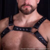 Bulldog Harness Detail