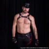 Bulldog Harness Front
