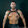 Bulldog Harness Black Front
