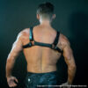 Bulldog Harness Black Rear