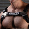 Bulldog Margate Harness Black Detail