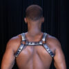 Bulldog Tartan Harness Tartan Gray Rear