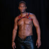 Bulldog Tartan Harness Tartan Red