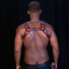 Bulldog Tartan Harness Tartan Red Rear