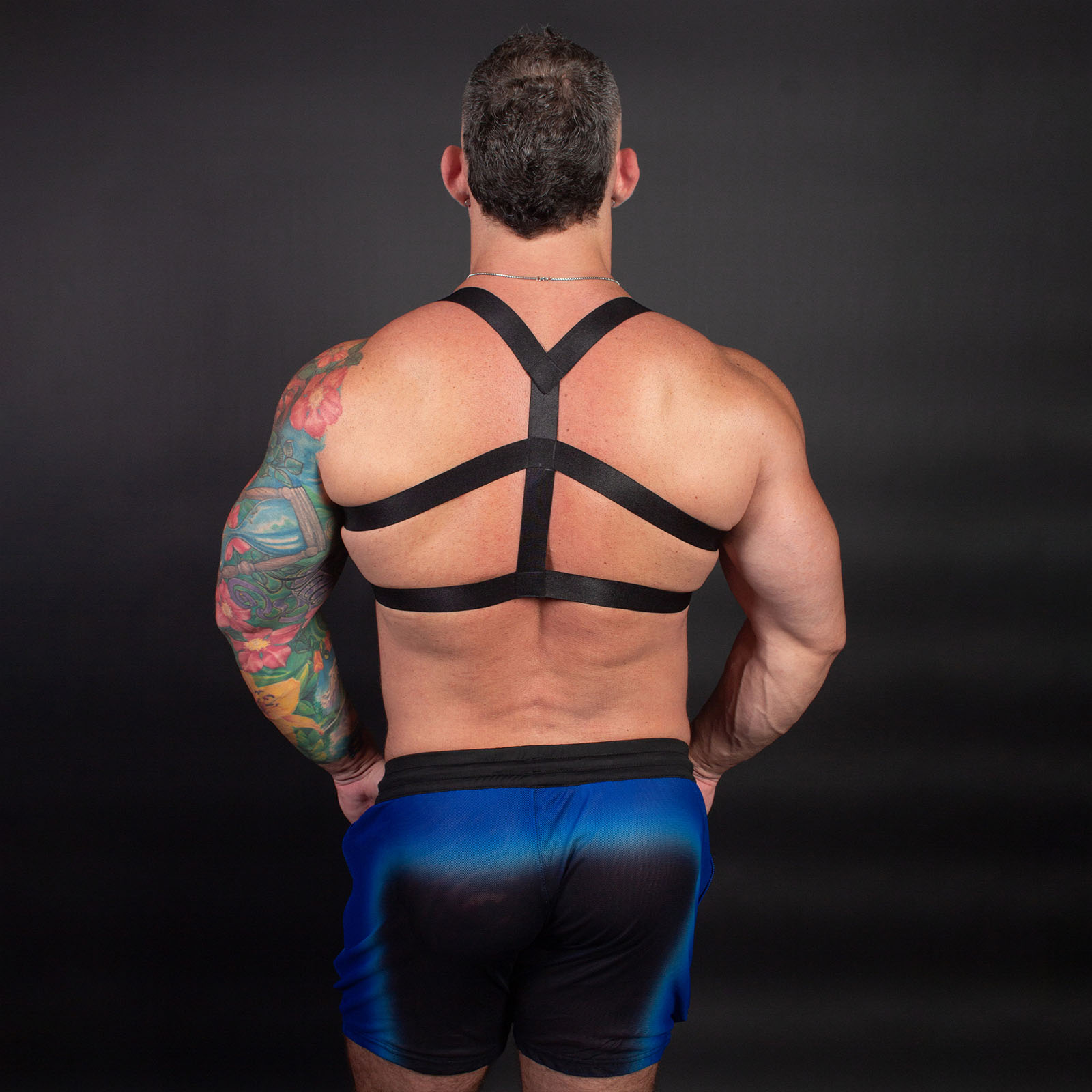 Elastic Chevron Harness Black Rear