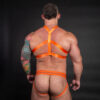 Elastic Chevron Harness Orange Rear Elastic Chevron Harness Orange Rear