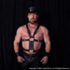 53900X-Double-D-Latigo-Harness Double D Latigo Harness