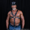 Latigo Buckle Harness With Cock Strap
