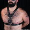 Victor Harness Standard front