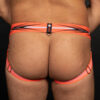 Breedwell Circuit Breaker Jock Orange Back Breedwell Circuit Breaker Jock Orange Back