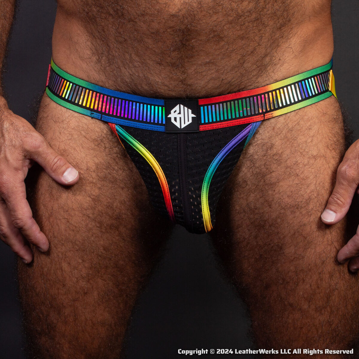 Breedwell Pride Reflect Jock Front 1