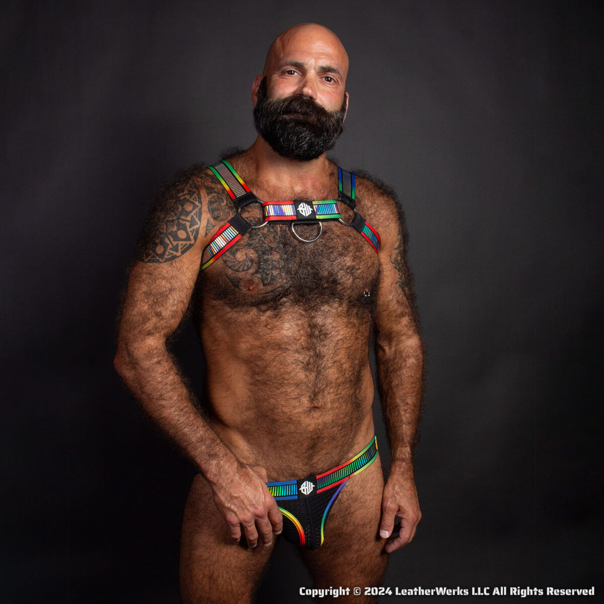 Breedwell Pride Reflect Jock Lifestyle 1