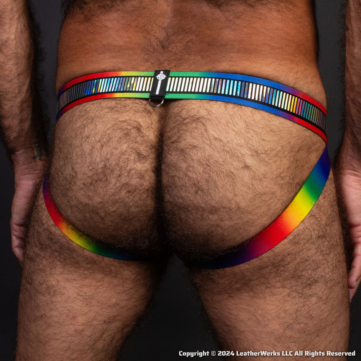 Breedwell Pride Reflect Jock Rear 1