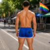 Breedwell Reto Remix Shorts Blue Rear