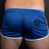 Breedwell Retro Remix Shorts Blue Back