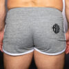 Breedwell Retro Remix Shorts Heather Gray Back