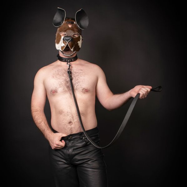 Latigo Leather Leash 4 Feet Main