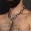 SS Collar and Brass Lock 3 16 Inch Detail SS Collar and Brass Lock 3 16 Inch Detail