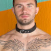 52002X Trifold Buckle Collar Trifold Buckle Collar
