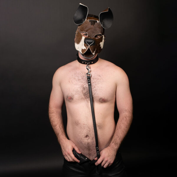 Trifold Leather Leash 2 Feet Main