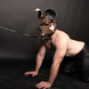 Trifold Leather Leash 5 Feet Main Trifold Leather Leash 5 Feet Main