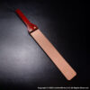 Texas Prison Strap Brown Paduk