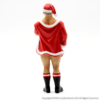 Santa Bear Back Santa Bear Back